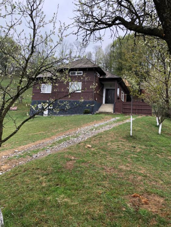 Cabana Hatere Moisei Dış mekan fotoğraf